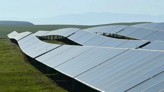 Large Scale Solar EU 2025